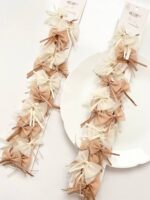 کشموی جفتی پاپیون - Image 5